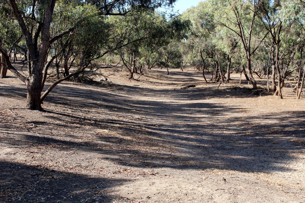 Figure 3: The faint channel of Kinypanial Creek at the end of summer. Photograph by P. Davies.