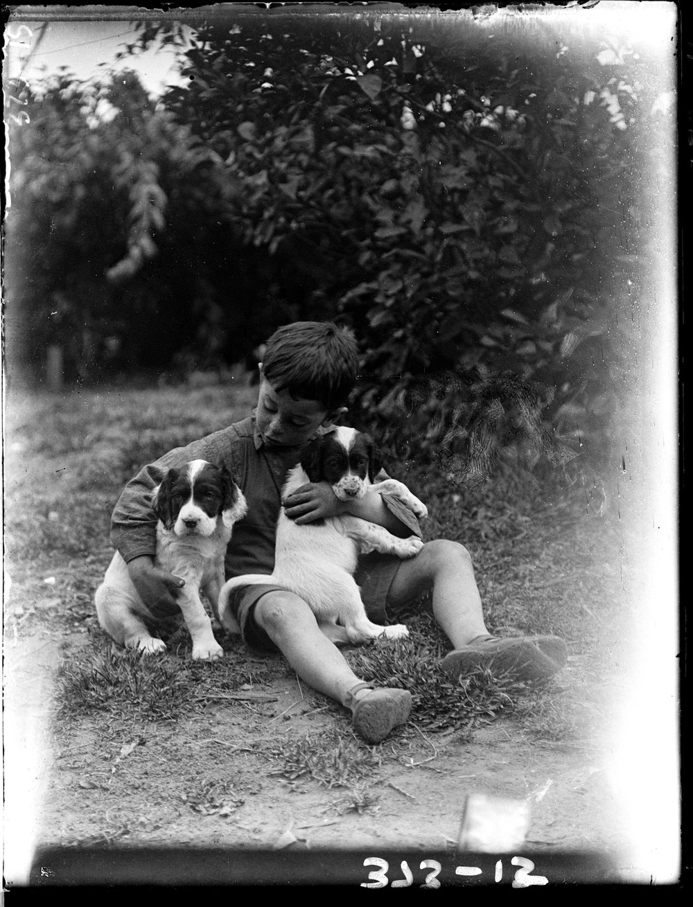 black and white photo of a boy holding two dogs