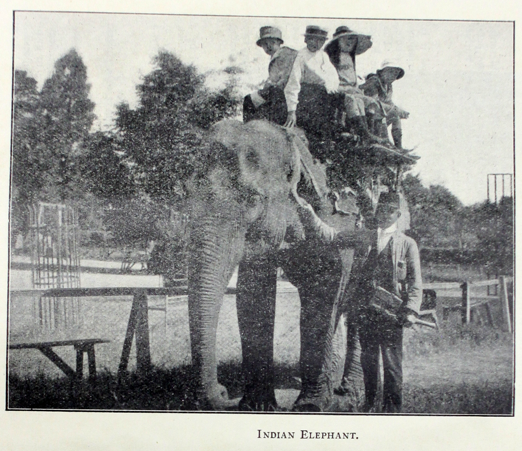 man standing next to an elephant 