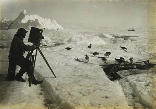photo of man taking photos of penguins