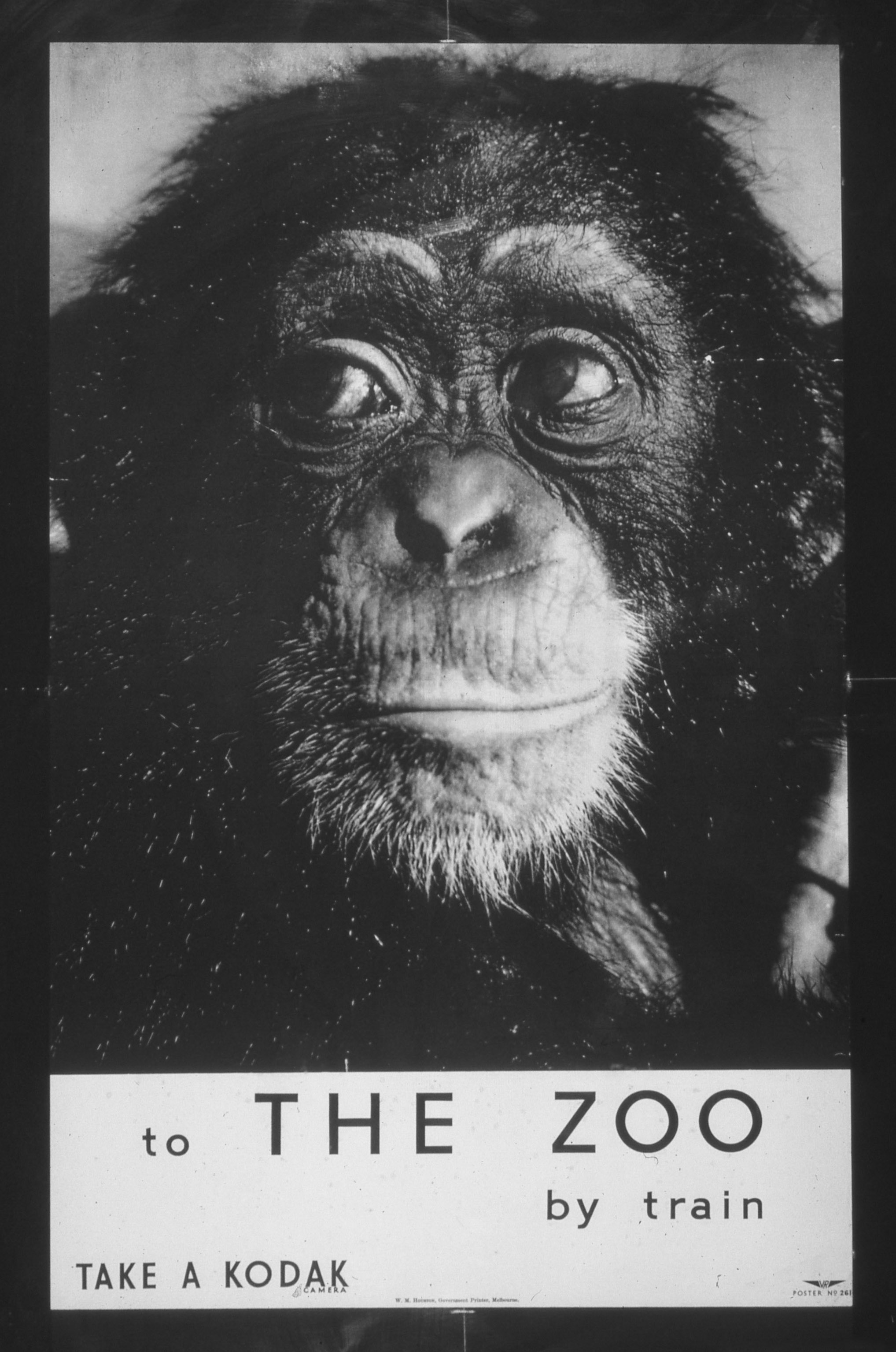 To the Zoo by Train 1950s poster