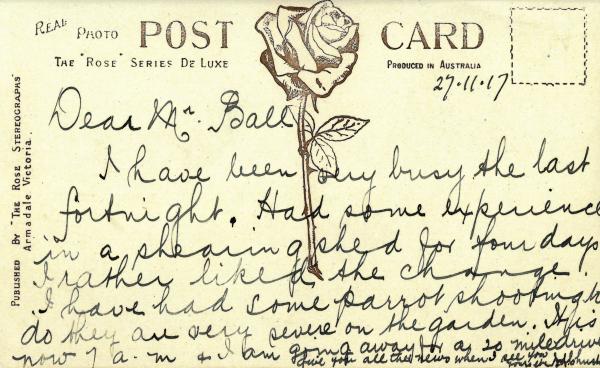back of a postcard showing a rose stamped down the middle with the words The Rose Series De Luxe Produced in Australia. And a handwritten message in black ink.