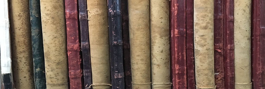 Spine of  historic records