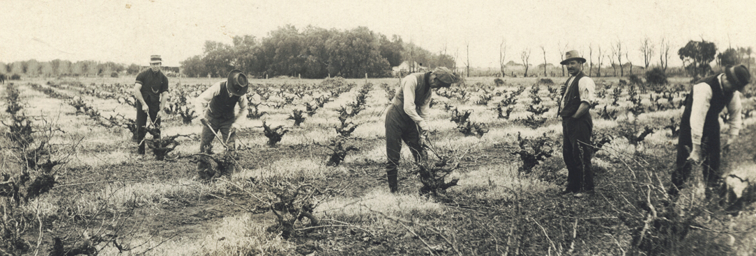 black and white photo of men working in a field