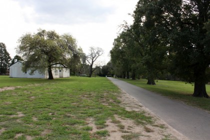 The caretaker’s complex in 2013, showing its relationship to the elm avenue which once flanked Richmond Park’s main carriage drive. 