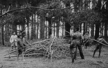 Boys standing around a pile of sticks and branches 
