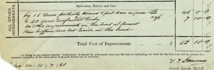 Detail from Crown Lands Bailiff’s report, 11 July 1891