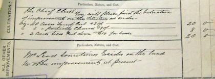 Detail from Crown Lands Bailiff’s report, 31 October 1891