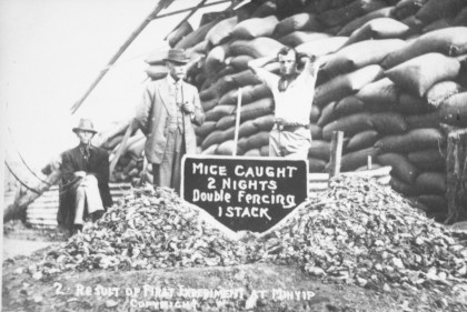 men standing in front of piles of mine with sign promoting mice catching fences