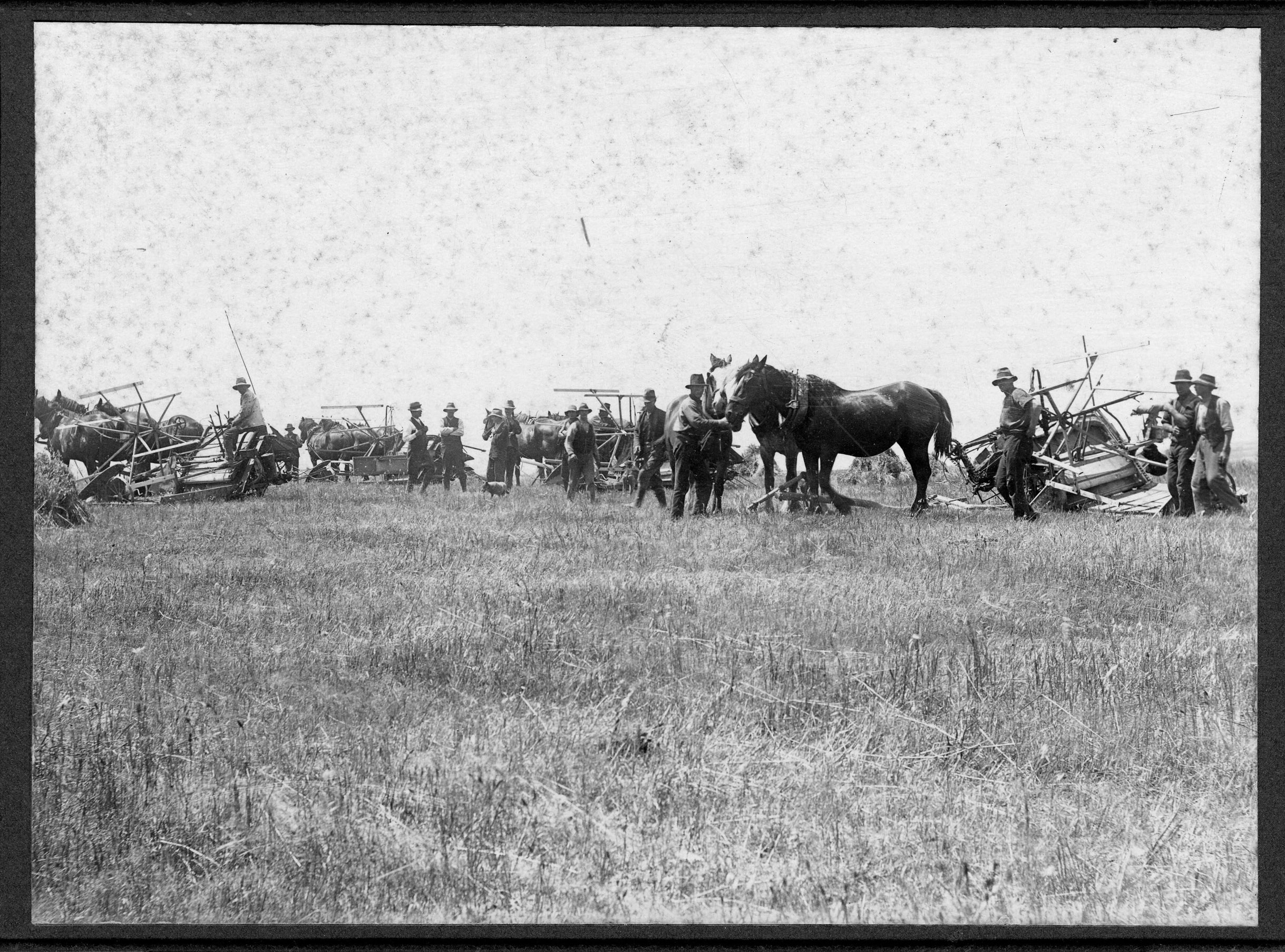 Soldier settlers c.1920