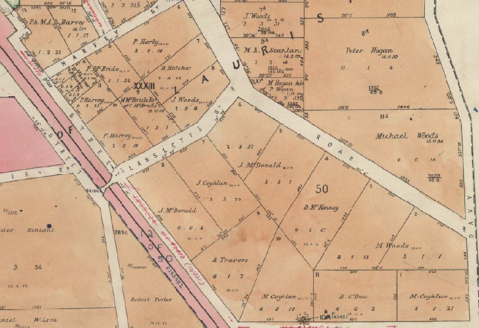 Image of portion of Malmsbury Township plan, showing sections 33 and 50.