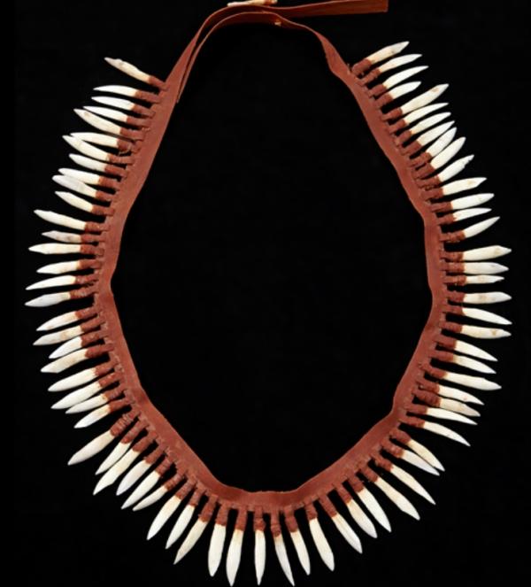 a tooth necklace