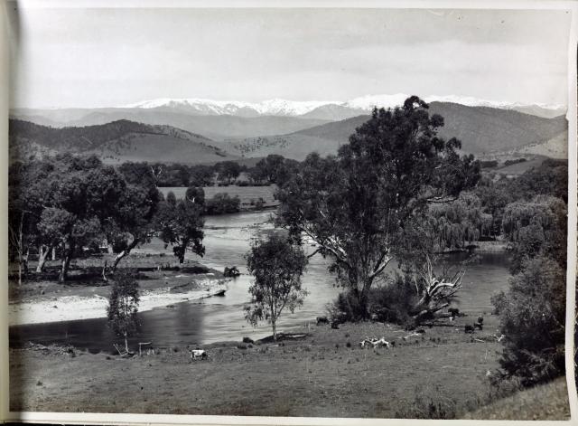black and white photo of a river
