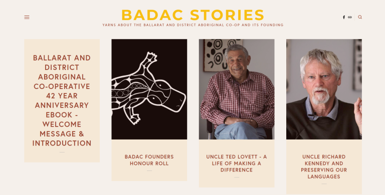 Screenshot of website for BADAC Stories