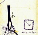 Detail of sketch produced by Constable Toohey in 1884 that was provided as evidence at the inquest into the Maryvale murder victims, showing the location of the skeletal remains relative to the junction of Harrow and Horsham roads.
